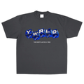 YWRLD DICE